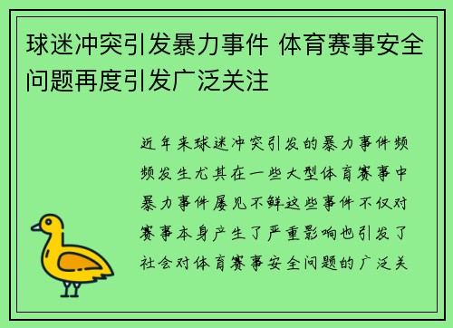 球迷冲突引发暴力事件 体育赛事安全问题再度引发广泛关注
