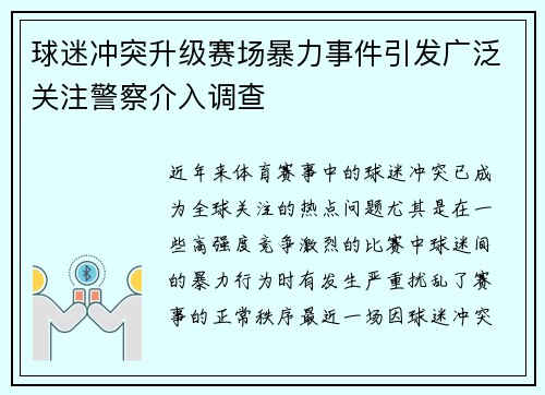 球迷冲突升级赛场暴力事件引发广泛关注警察介入调查
